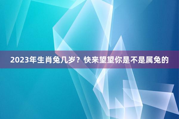 2023年生肖兔几岁？快来望望你是不是属兔的